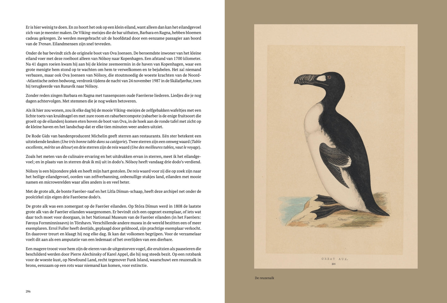 Boek Een bijna-dodo-ervaring
